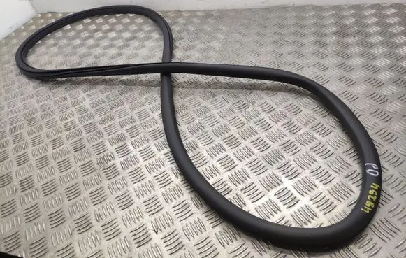 Peugeot 308 Front door rubber seal