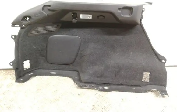 Lexus RX 450H Trunk/boot side trim panel 6474048150C2