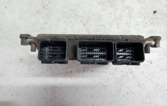 Peugeot 406 Engine control unit/module 0281010590