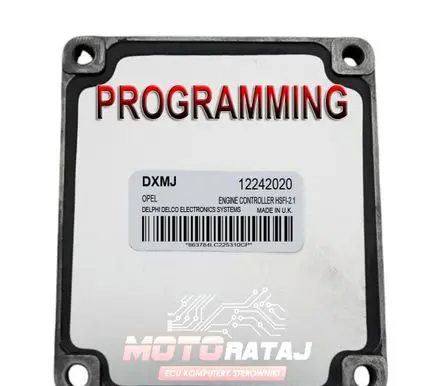 Opel Zafira A Engine control unit/module 12242020 DXMJ