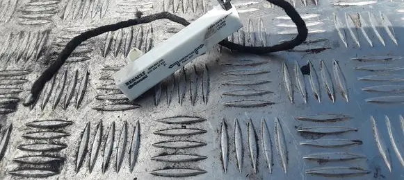 Renault Laguna III Antenna control unit 285906352R