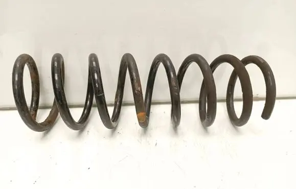 Rear coil spring