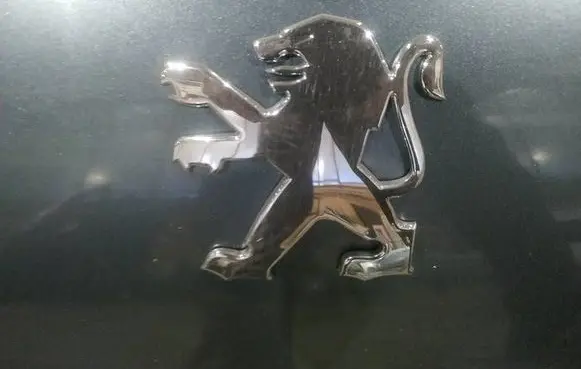 Peugeot 407 Manufacturer badge logo/emblem 