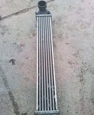 Mercedes-Benz A W169 Intercooler radiator A1695000000
