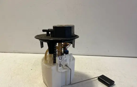 Opel Vivaro In-tank fuel pump 9807056380 28636514