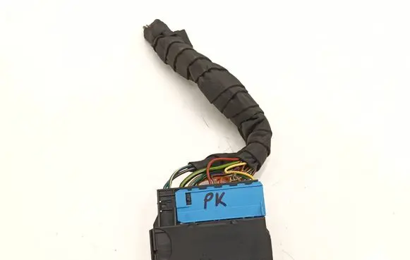 BMW X1 E84 Front door wiring loom 6925543 6925547