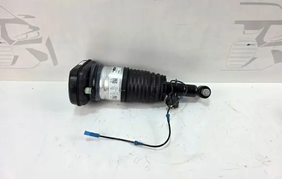 BMW X7 G07 Rear shock absorber/damper 6869040