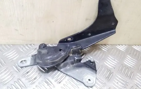 Renault Espace - Grand espace IV Engine bonnet/hood hinges 8200011693