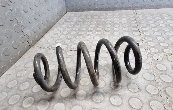 Rear coil spring