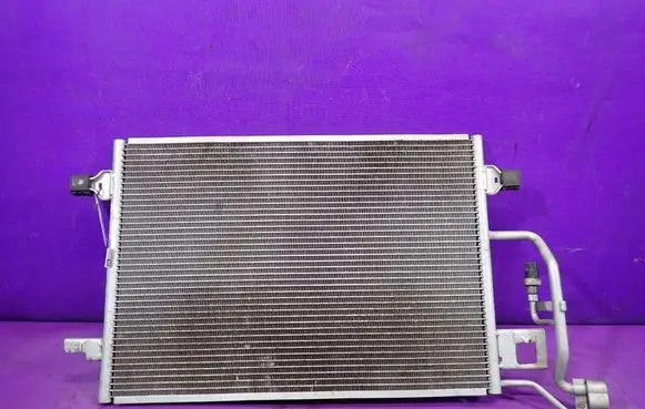 Volkswagen PASSAT B5.5 Air conditioning (A/C) radiator (interior) 
