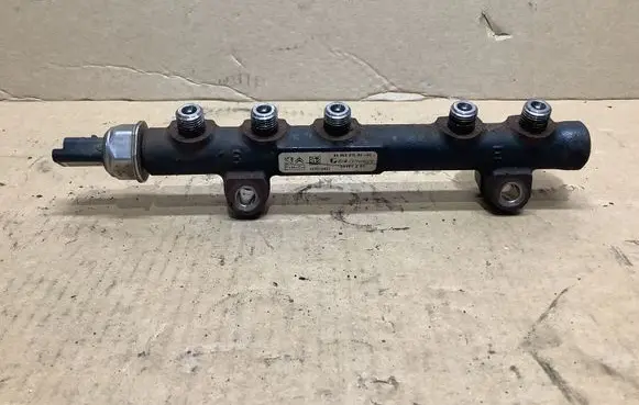 Ford Fiesta Fuel pressure regulator 9670076780 968529758002