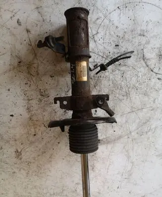 Renault Scenic III - Grand scenic III Front shock absorber/damper 543022646R