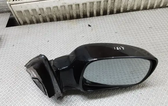 Hyundai Terracan Front door electric wing mirror E4012155