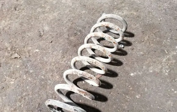 Rear coil spring