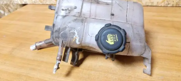 Renault Scenic III - Grand scenic III Coolant expansion tank/reservoir 217100005r