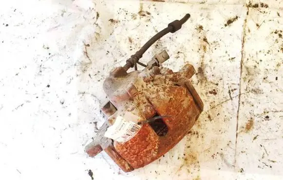 Seat Alhambra (Mk1) Front brake caliper 869 86957