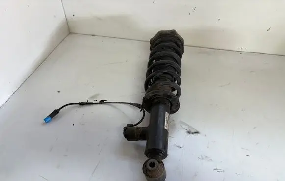 BMW X3 G01 Rear shock absorber with coil spring 6887148