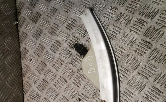 Volkswagen PASSAT B6 Front indicator light 3c0807718c