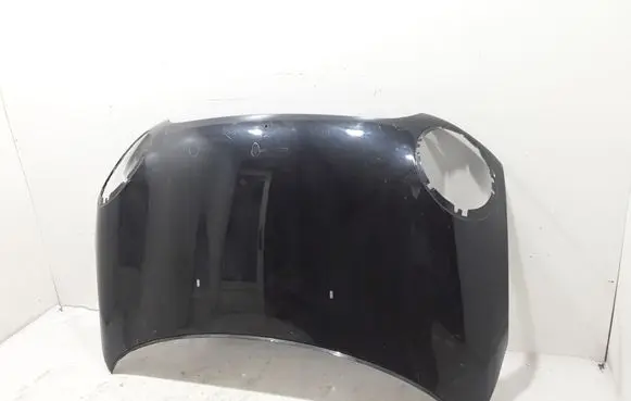 Engine bonnet/hood