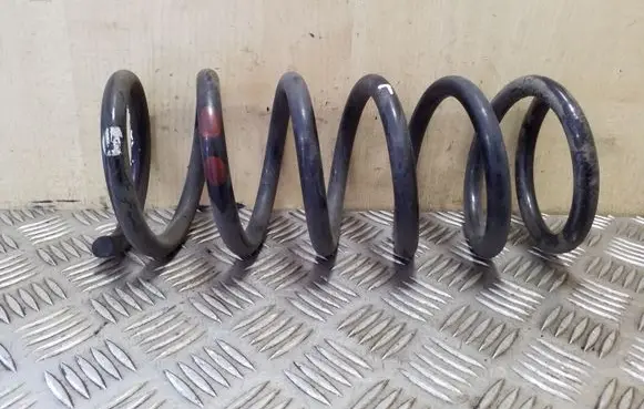 Chevrolet Captiva Rear coil spring