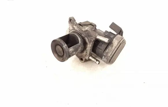 EGR valve