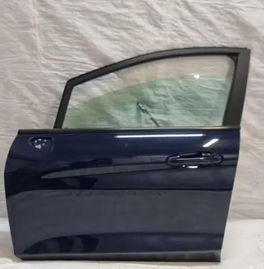 Ford Fiesta Front door
