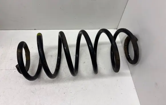 Rear coil spring