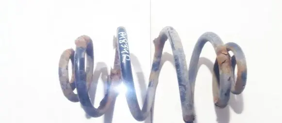 Skoda Superb B5 (3U) Rear coil spring