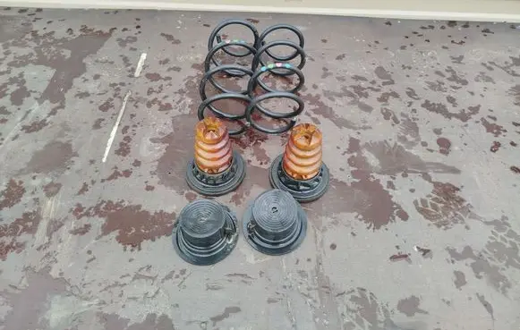 Rear coil spring