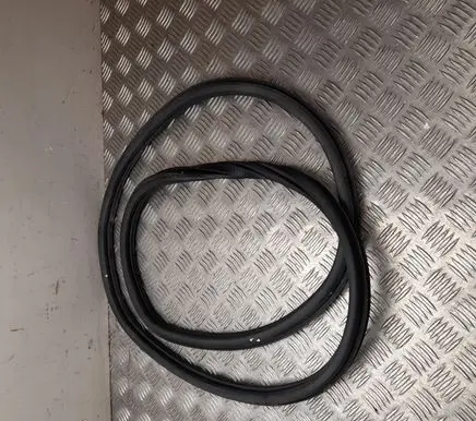Volkswagen Polo VI Rubber seal rear door 624