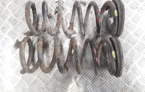 Chevrolet Captiva Rear coil spring
