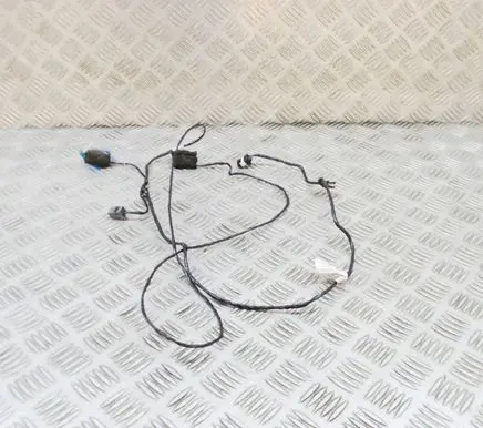 Tesla Model X Other wiring loom 103243700F