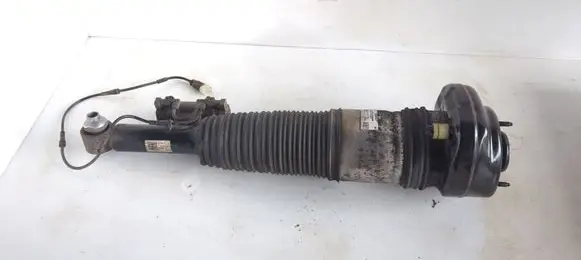 BMW 7 G11 G12 Shock absorber/damper/air suspension 13981113