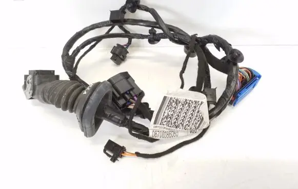 Maserati Ghibli Other wiring loom 06700086060
