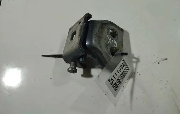 Citroen C4 I Picasso Rear door lower hinge 
