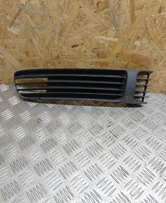 Volkswagen PASSAT B5 Front bumper lower grill HfVW11012g1
