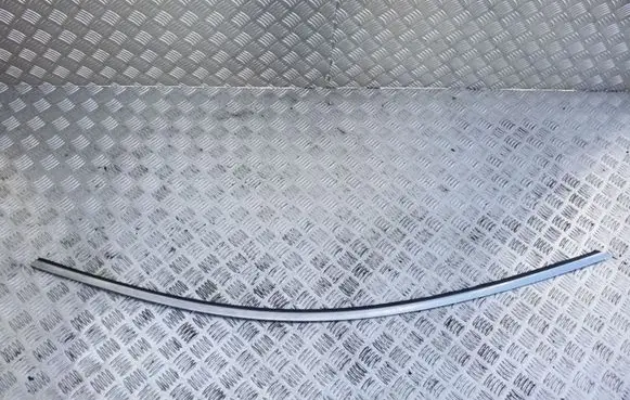 Front door trim (molding)