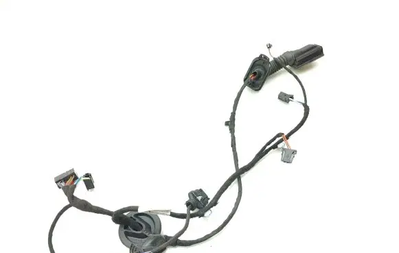 Audi A1 Rear door wiring loom