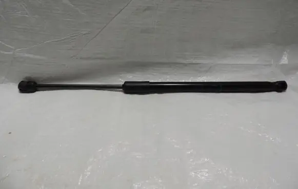 Tailgate strut