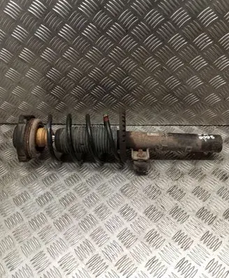 Skoda Roomster (5J) Front shock absorber with coil spring