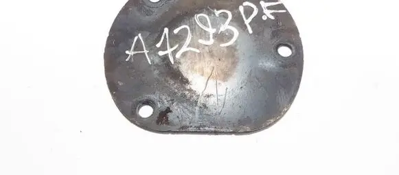 Coil spring mount