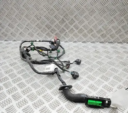 Porsche Panamera (971) Front door wiring loom 971971035 971974294