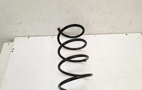 Front coil spring