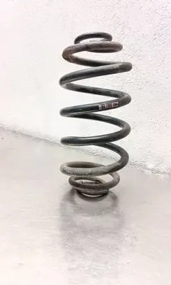 Opel Insignia A Rear coil spring