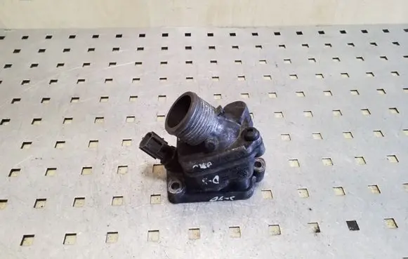Thermostat/thermostat housing