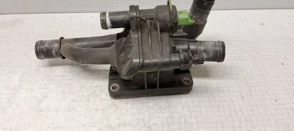 Thermostat/thermostat housing