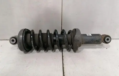 Audi R8 4S Rear shock absorber with coil spring 4S0512019P