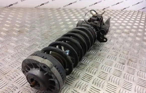 BMW 7 F01 F02 F03 F04 Front shock absorber/damper 6796939