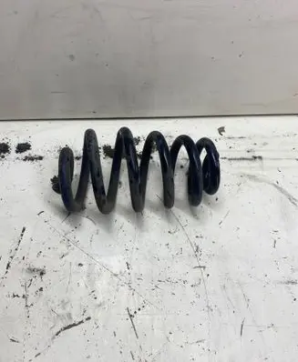 Rear coil spring