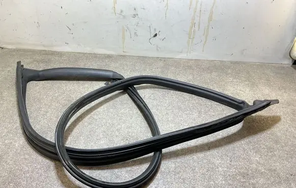 Tesla Model 3 Front door rubber seal 